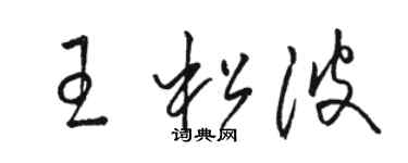 骆恒光王松波草书个性签名怎么写