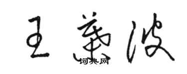 骆恒光王叶波草书个性签名怎么写