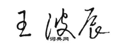 骆恒光王波辰草书个性签名怎么写