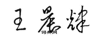 骆恒光王晨辉草书个性签名怎么写