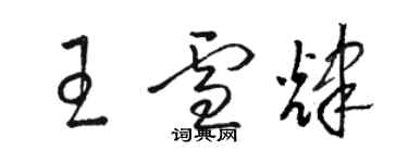 骆恒光王雪辉草书个性签名怎么写