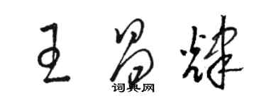 骆恒光王昌辉草书个性签名怎么写