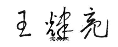 骆恒光王辉亮草书个性签名怎么写