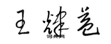 骆恒光王辉益草书个性签名怎么写