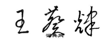 骆恒光王葵辉草书个性签名怎么写