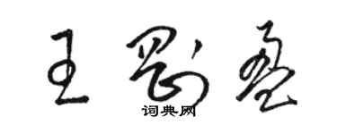 骆恒光王刚盈草书个性签名怎么写