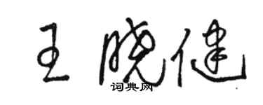 骆恒光王晓健草书个性签名怎么写