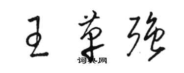 骆恒光王革强草书个性签名怎么写