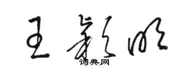 骆恒光王颖明草书个性签名怎么写