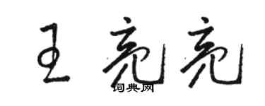 骆恒光王亮亮草书个性签名怎么写