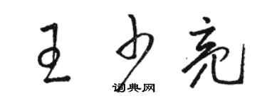 骆恒光王少亮草书个性签名怎么写