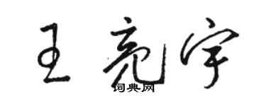 骆恒光王亮宇草书个性签名怎么写