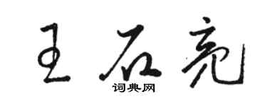 骆恒光王石亮草书个性签名怎么写
