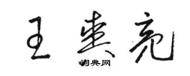 骆恒光王爽亮草书个性签名怎么写