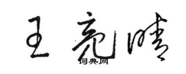 骆恒光王亮晴草书个性签名怎么写