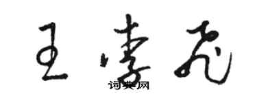 骆恒光王李飞草书个性签名怎么写