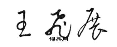 骆恒光王飞展草书个性签名怎么写
