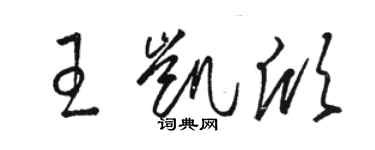 骆恒光王凯欣草书个性签名怎么写