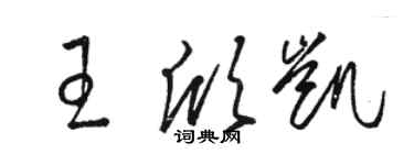 骆恒光王欣凯草书个性签名怎么写
