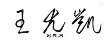 骆恒光王尤凯草书个性签名怎么写