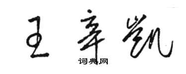 骆恒光王辛凯草书个性签名怎么写