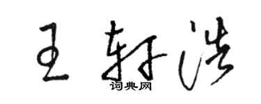 骆恒光王轩浩草书个性签名怎么写