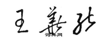 骆恒光王华能草书个性签名怎么写