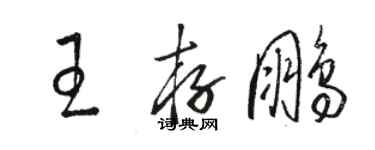 骆恒光王存鹏草书个性签名怎么写