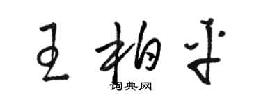骆恒光王柏平草书个性签名怎么写