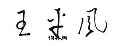 骆恒光王平风草书个性签名怎么写
