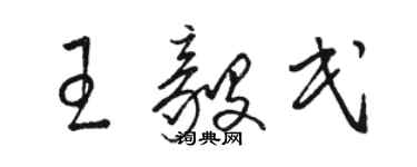 骆恒光王毅民草书个性签名怎么写