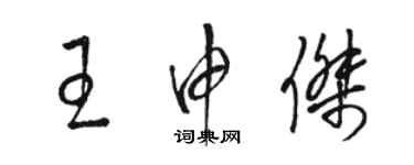 骆恒光王申杰草书个性签名怎么写