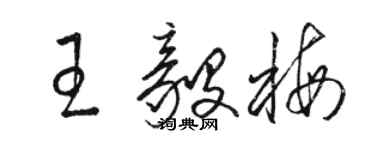 骆恒光王毅梅草书个性签名怎么写