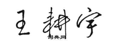 骆恒光王耕宇草书个性签名怎么写