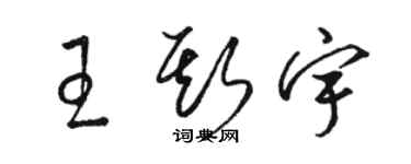 骆恒光王斯宇草书个性签名怎么写