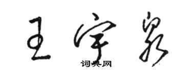 骆恒光王宇泉草书个性签名怎么写