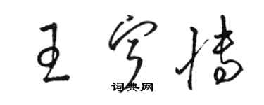 骆恒光王宁博草书个性签名怎么写