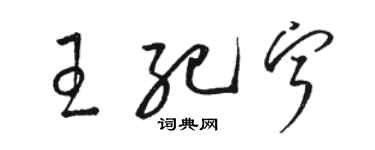 骆恒光王纪宁草书个性签名怎么写