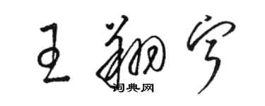 骆恒光王翔宁草书个性签名怎么写