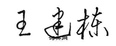 骆恒光王建栋草书个性签名怎么写