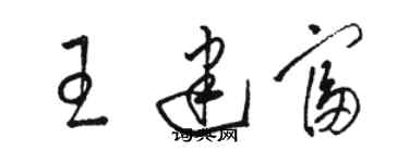 骆恒光王建富草书个性签名怎么写
