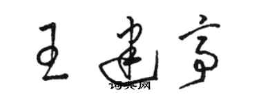 骆恒光王建亭草书个性签名怎么写