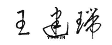 骆恒光王建瑞草书个性签名怎么写