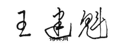 骆恒光王建魁草书个性签名怎么写