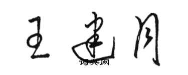 骆恒光王建月草书个性签名怎么写