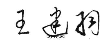骆恒光王建羽草书个性签名怎么写
