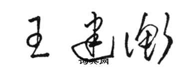 骆恒光王建衡草书个性签名怎么写