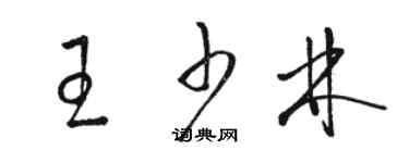 骆恒光王少林草书个性签名怎么写