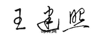 骆恒光王建照草书个性签名怎么写
