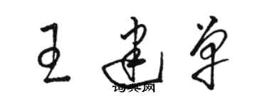 骆恒光王建单草书个性签名怎么写